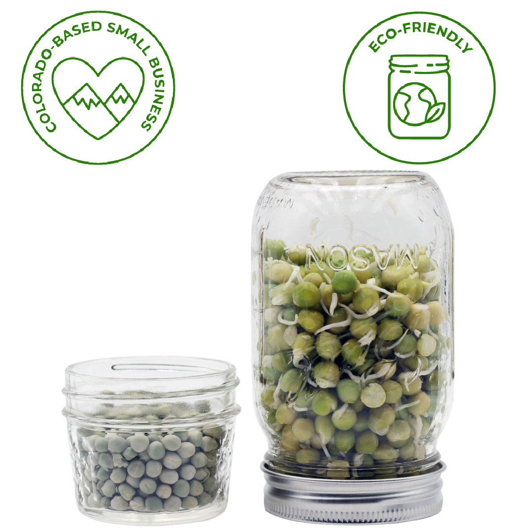 Curved Rust Proof Sprouting Lid and Band for Mason Jars