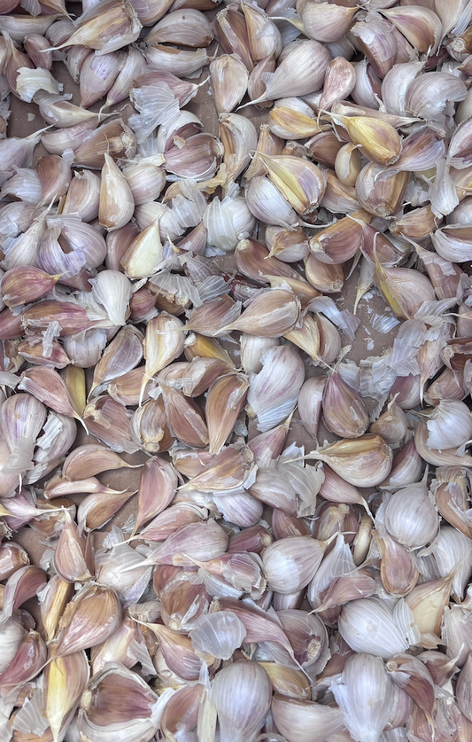 A Stinkin’ Good Time Is Coming to Eustis: Fall Garlic Fest 2026 🧄