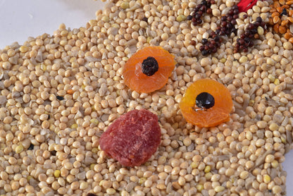 Bird Feeder Christmas Cookie