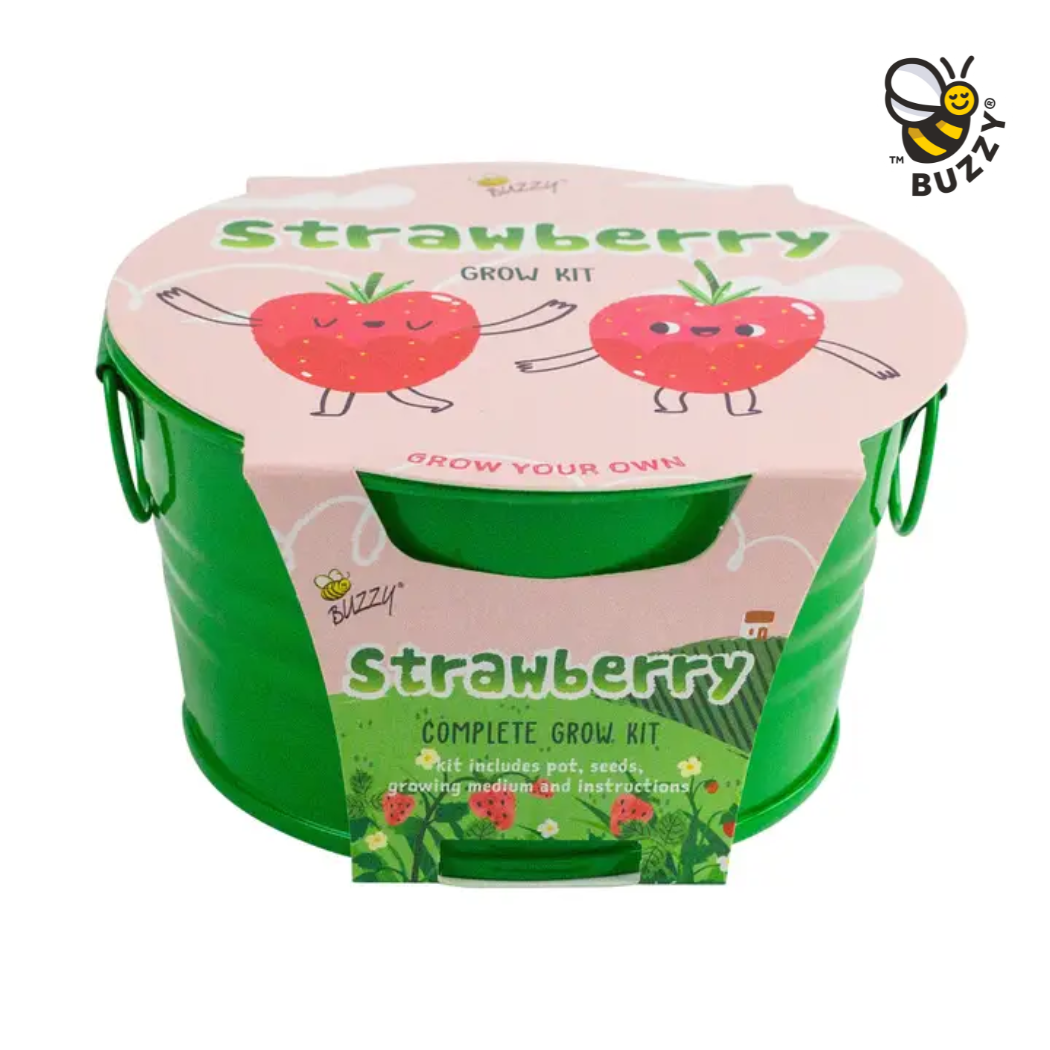 Kids Strawberry Grow Kit – Indoor Garden Gift