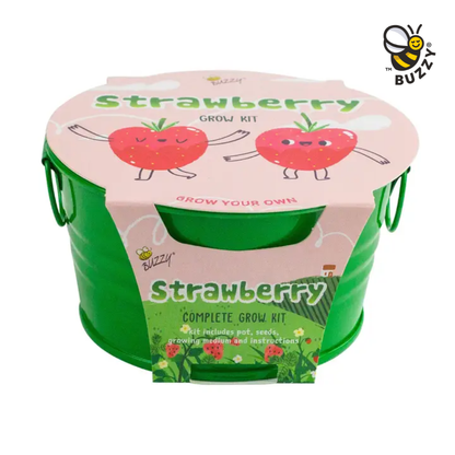 Kids Strawberry Grow Kit – Indoor Garden Gift