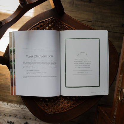 Fresh Start | 2 Week Study | Finding Peace in Christ for the Year Ahead