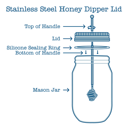 Honey Dipper Stainless Steel Lid for Mason Jars