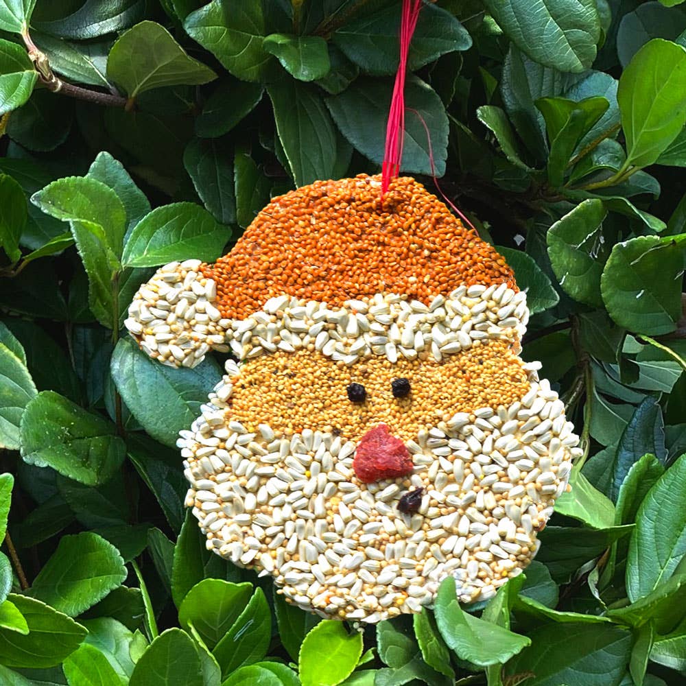 Bird Feeder Christmas Cookie