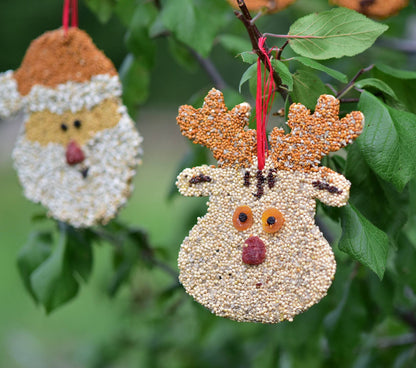 Bird Feeder Christmas Cookie