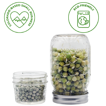 Curved Rust Proof Sprouting Lid and Band for Mason Jars