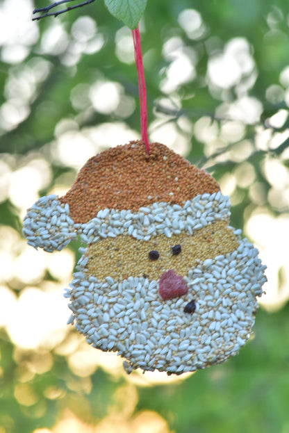 Bird Feeder Christmas Cookie