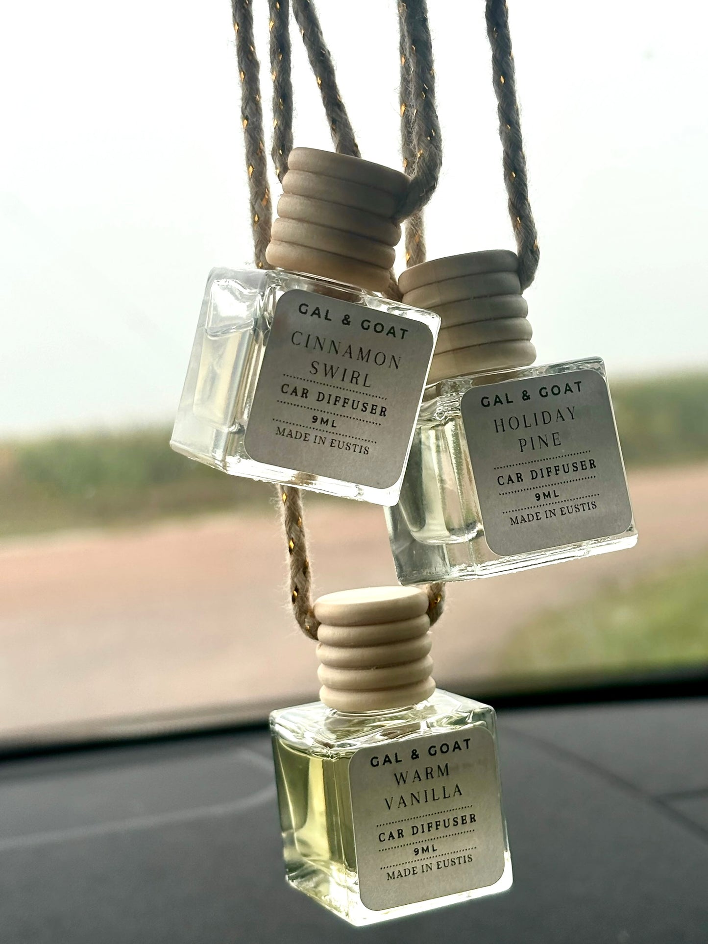 Hanging Car Diffuser