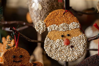 Bird Feeder Christmas Cookie