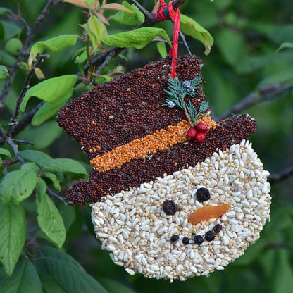 Bird Feeder Christmas Cookie