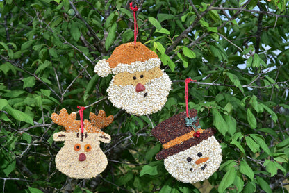 Bird Feeder Christmas Cookie