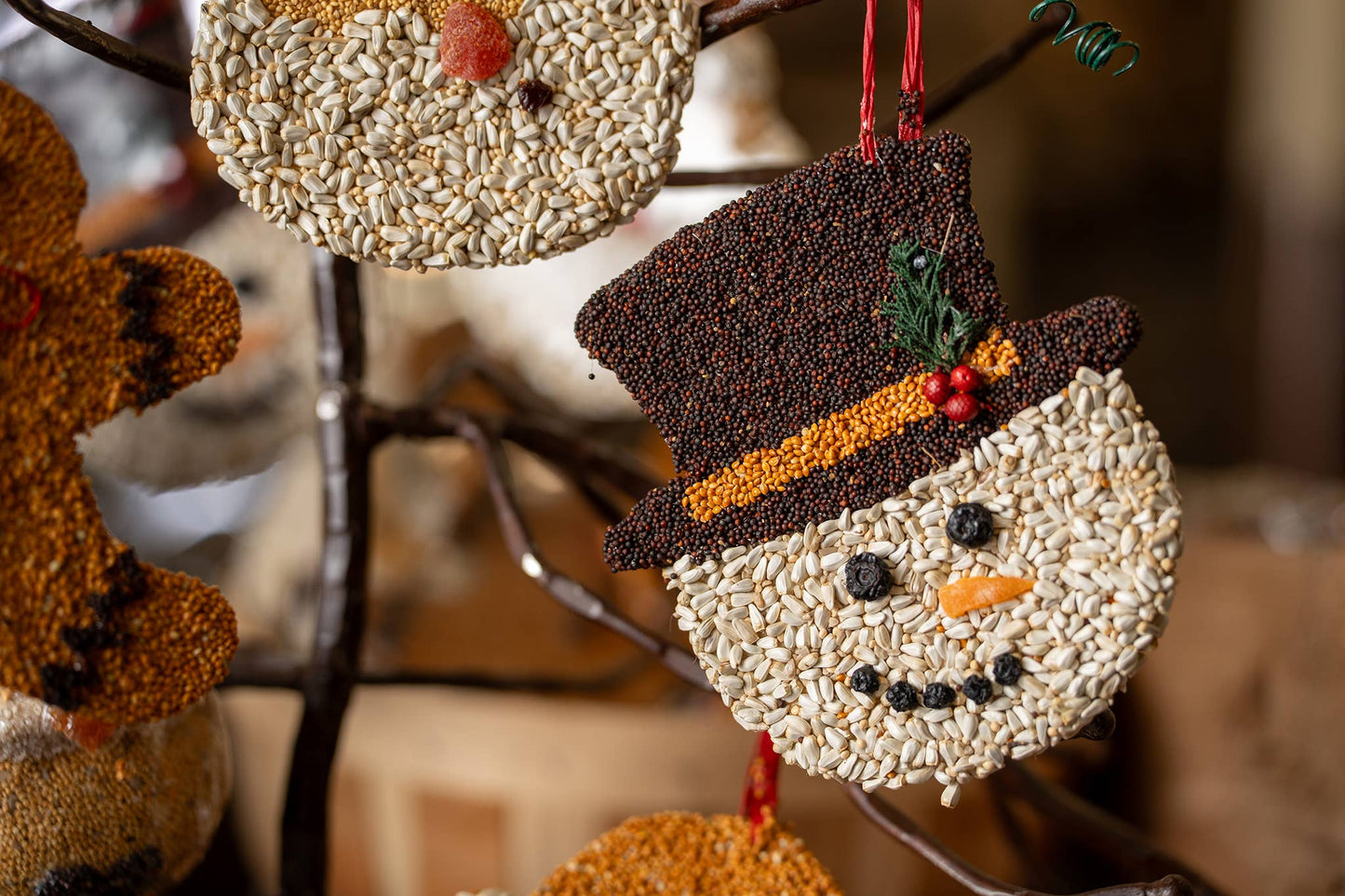 Bird Feeder Christmas Cookie
