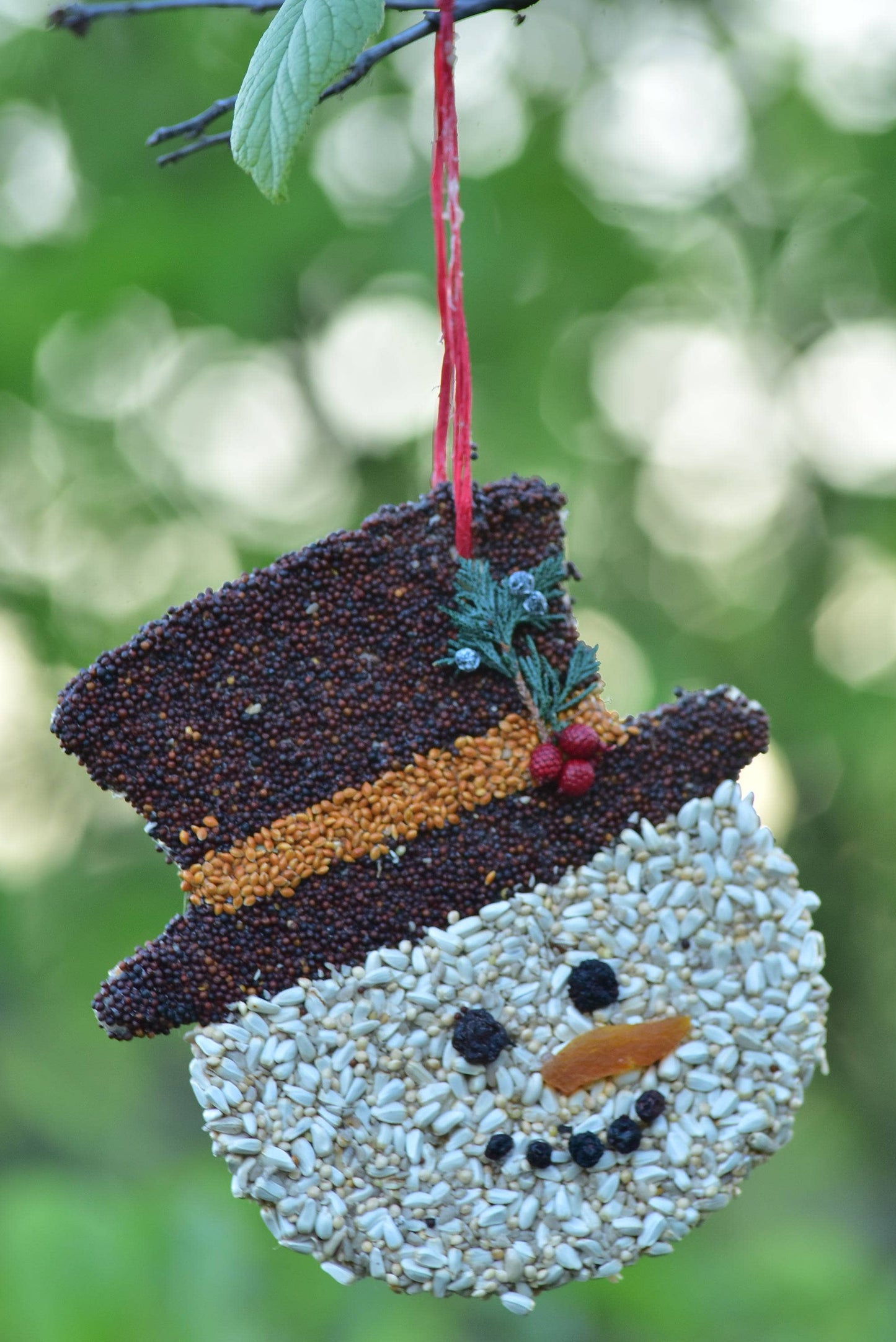 Bird Feeder Christmas Cookie