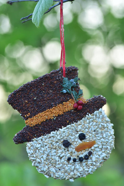 Bird Feeder Christmas Cookie