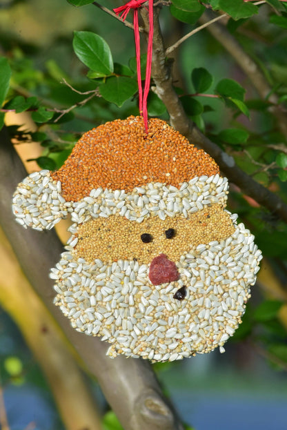 Bird Feeder Christmas Cookie