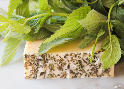 Minty Meadows Soap Bar
